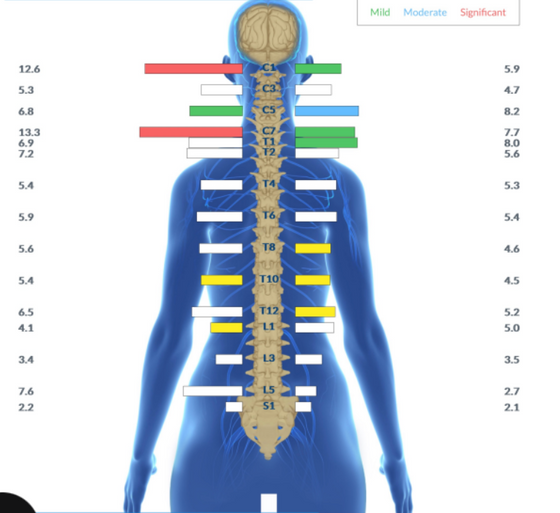 Blog Image 2.png