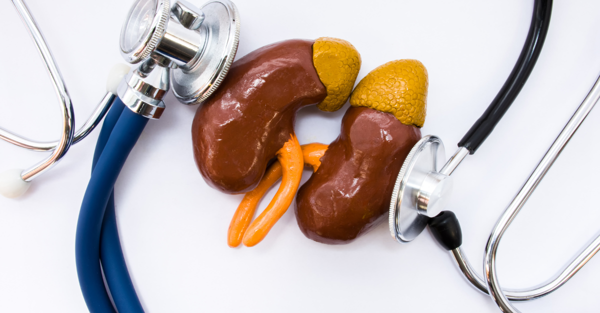 Adrenal Health B.png