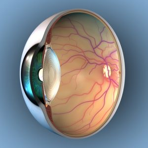 image of an eyeball