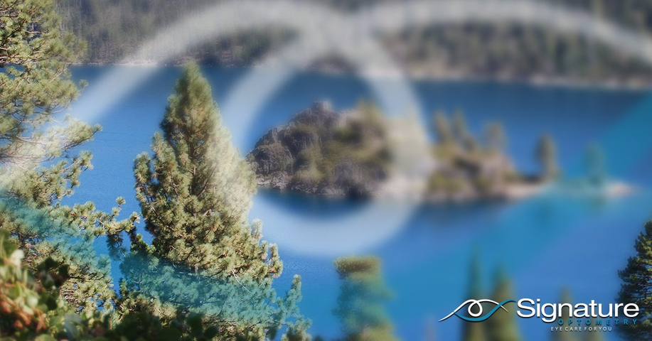 image of a blurry photos