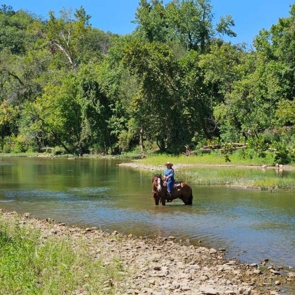 A man on horseback wading into a stream