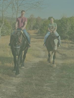 Clydesdale Experience