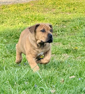 Top Tier Dakota Top Tier Dakota