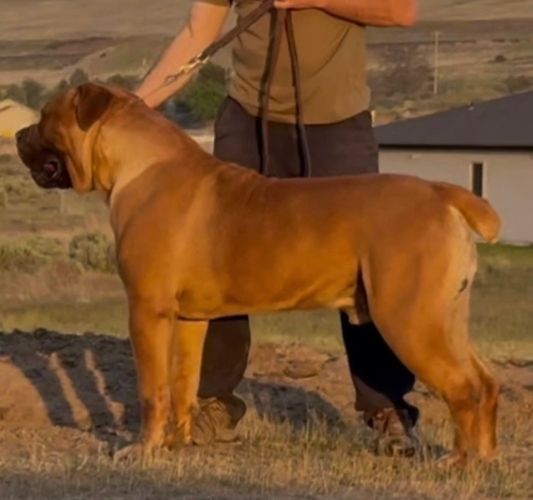 Outlaw Jesse James.jpg