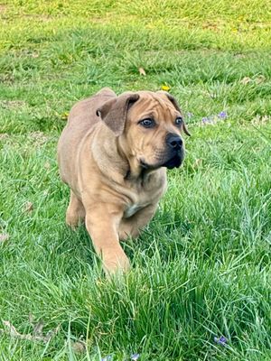 Top Tier Dakota Top Tier Dakota