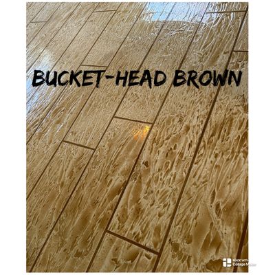 bucketheadbrown.jpg