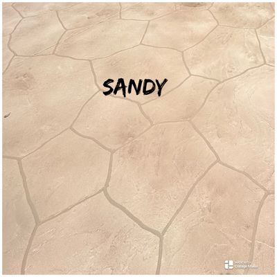 sandy.jpg