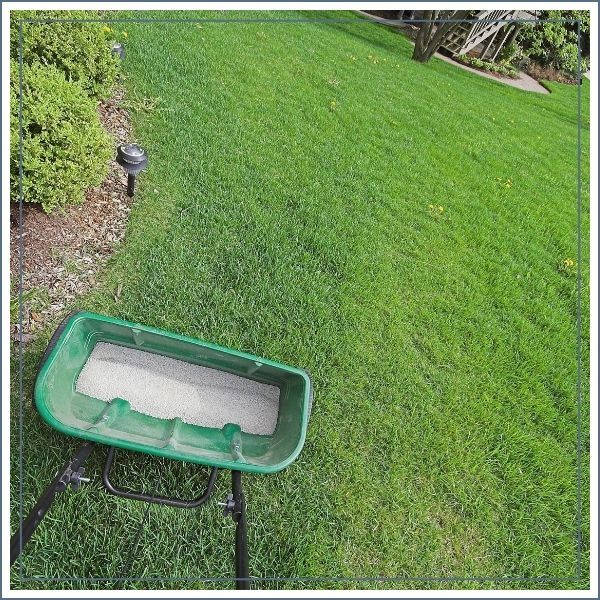 GroundMaint - IMG 4.jpg