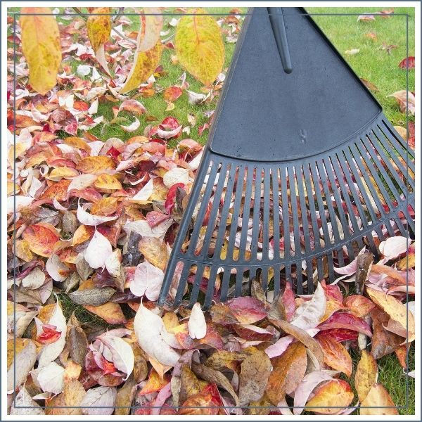 GroundMaint - IMG 2.jpg