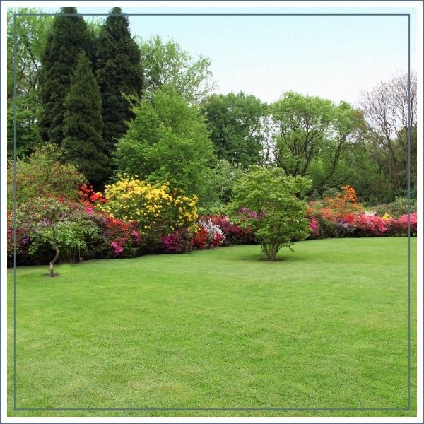 GroundMaint - IMG 3.jpg