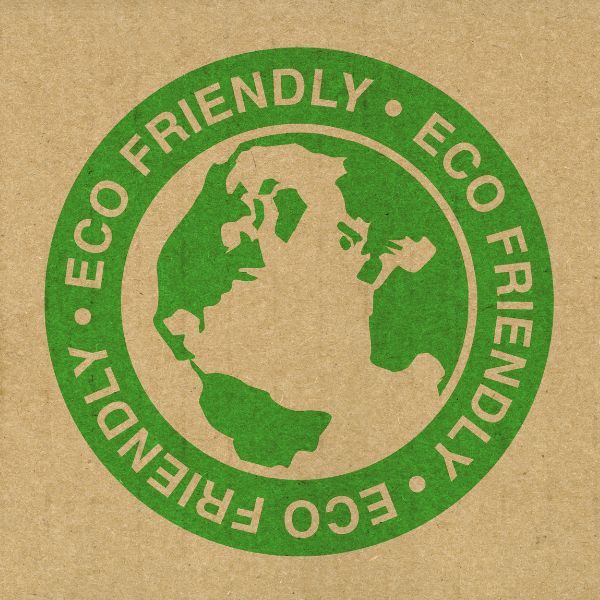 A logo that says eco-friendly with an earth inside 