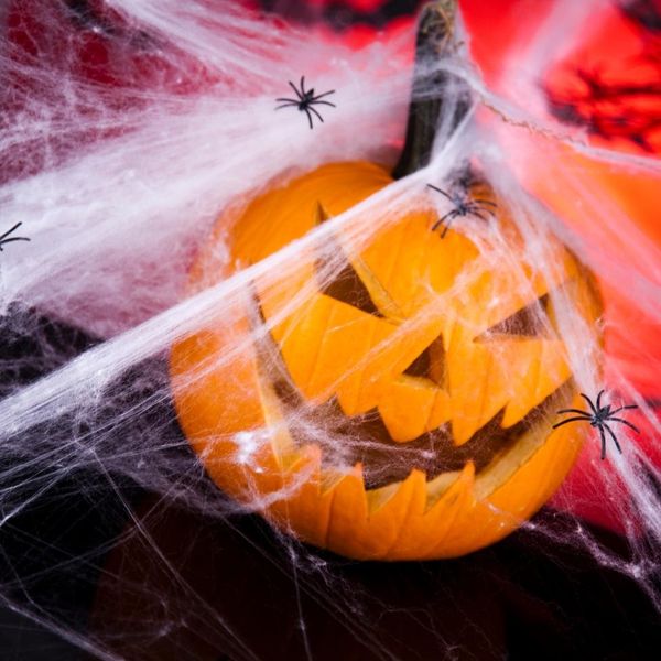 Pumpkin covered in fake spider webs