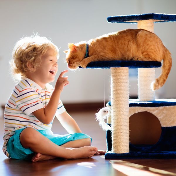 kid playing with orange cat 