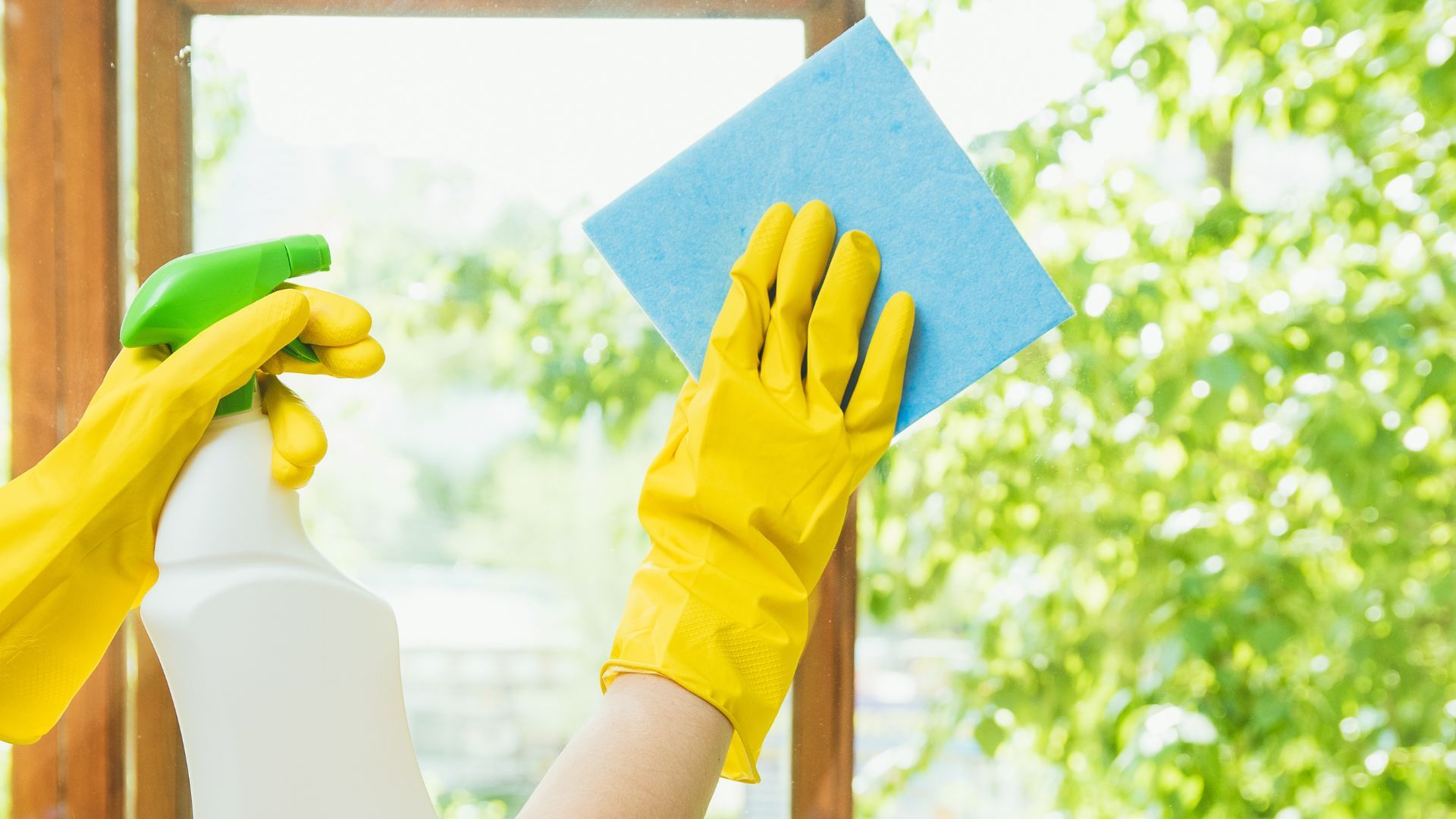 A person wearing yellow gloves cleaning a window 