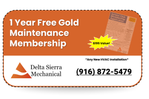 Coupon Reading "1 Year Free Gold Maintenance Membership"