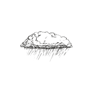 Storm Clean Up.png