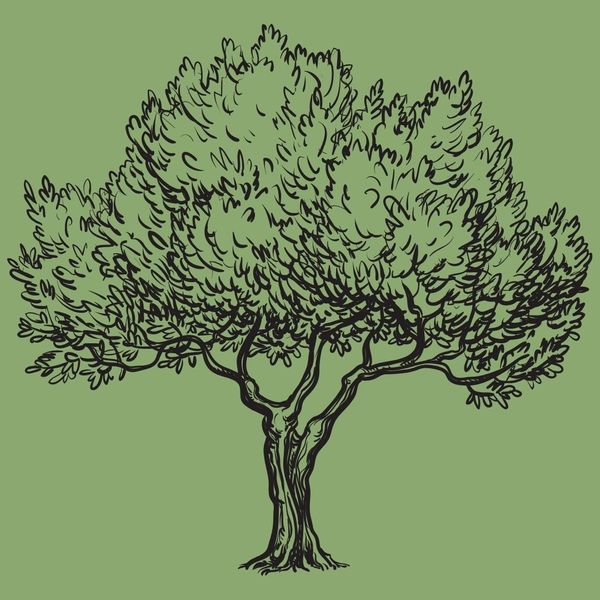 Emergency Tree BG.jpg