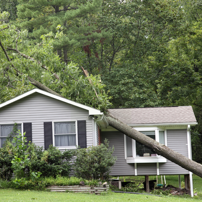 Untitled design - 2025-09-17T084646.297.png