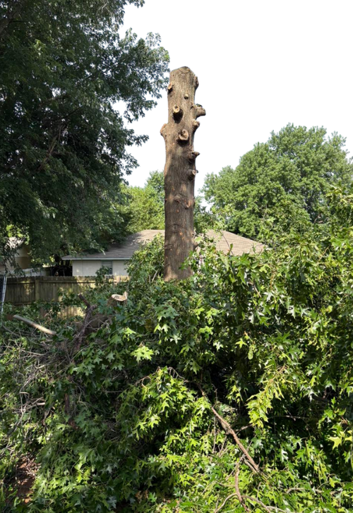 Storm Cleanup (1).png