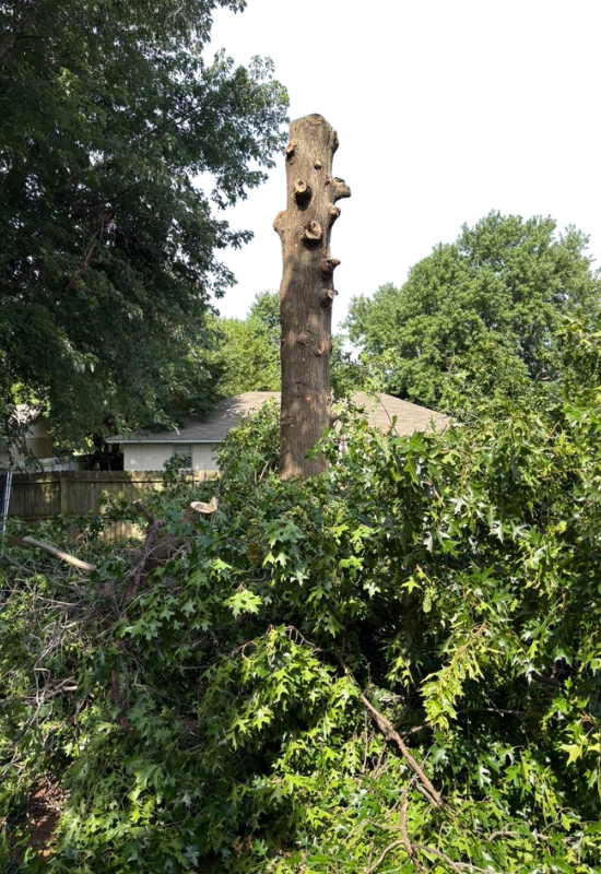 Storm Cleanup (1).png