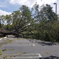 Storm cleanup oklahoma city