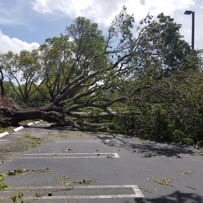 Untitled design - 2025-09-17T084618.922.png