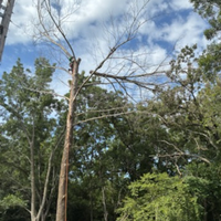 Untitled design - 2025-08-26T135224.222.png