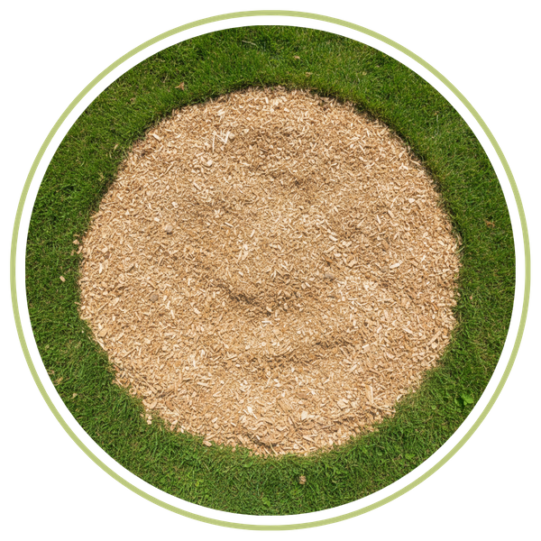 A neat, circular patch of fresh wood mulch on a green lawn.