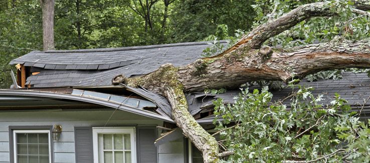 tree-emergency-house-atlanta-georgia.jpg