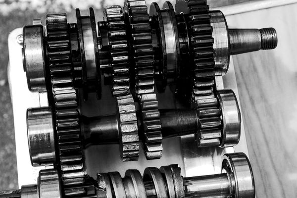 gear oil.jpg