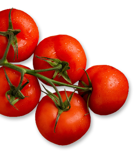 tomatoes.png