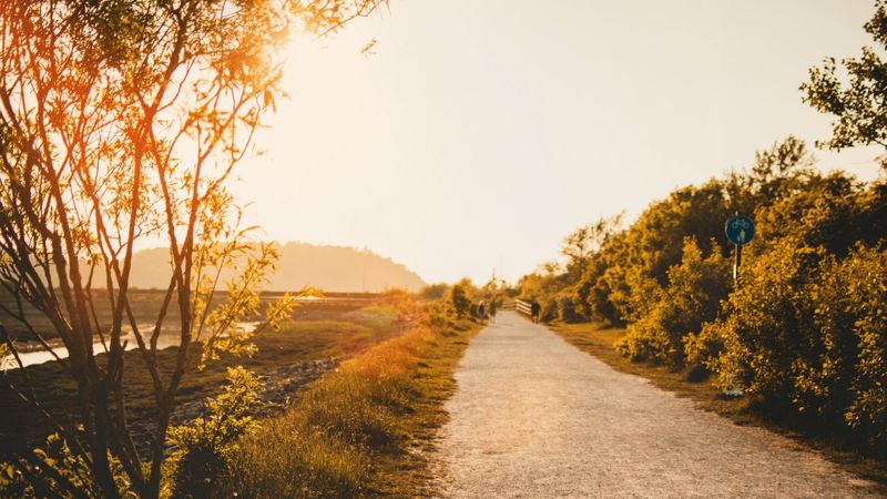 Understanding the 12 Steps Recovery Program - Hero.jpg