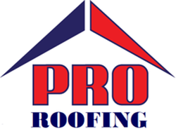 Pro Roofing