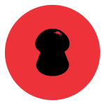 .25 caliber pellet icon