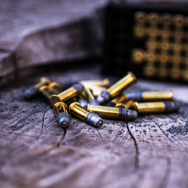 .22lr .22lr