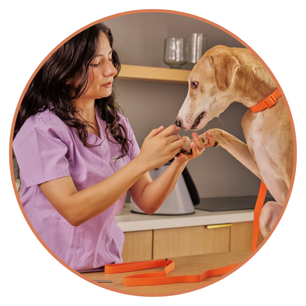 Chronic Skin & Allergy Management Image 3.png