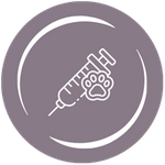Ear Canal Mass Removal