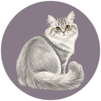 Chronic Skin & Allergy Management Icon 8.png