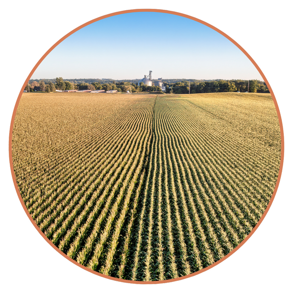 Agricultural fields in the heartland