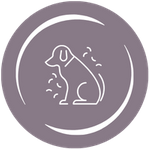 Allergy & Underlying Cause Identification