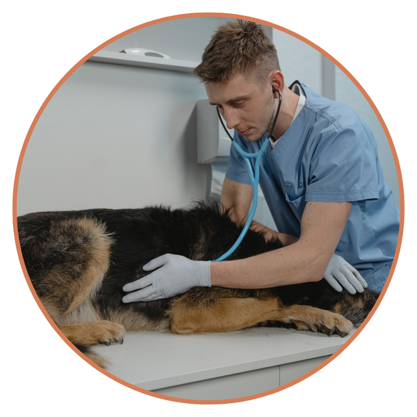 Chronic Skin & Allergy Management Image 2.png