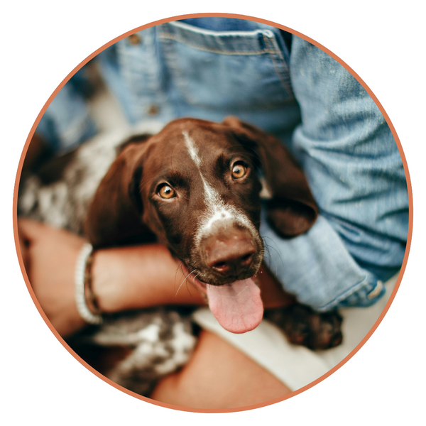 Specialized Diagnostics - 2.png