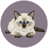 Chronic Skin & Allergy Management Icon  6.png