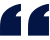 M332533 - Palmer Strategic Advisors - Quotation Marks Reviews.png