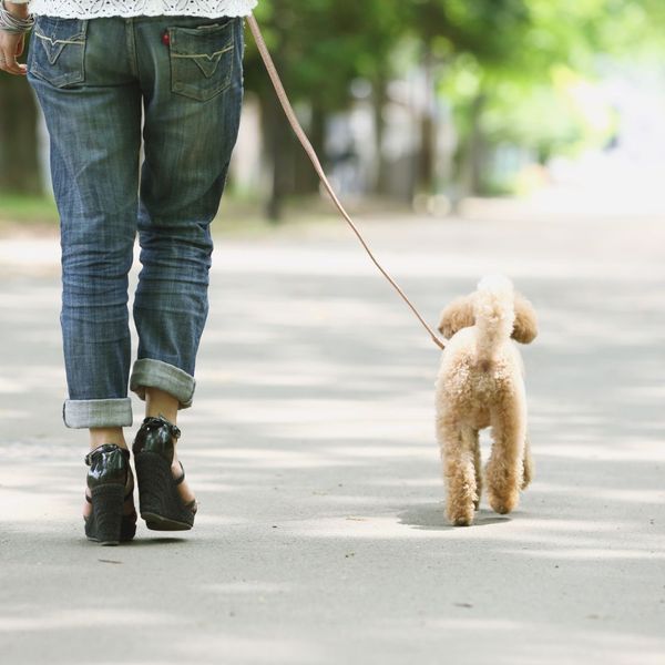 person walking their dog outside