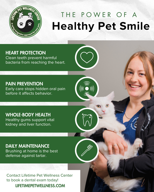 M325911 - Jan 2026 Infographic.png