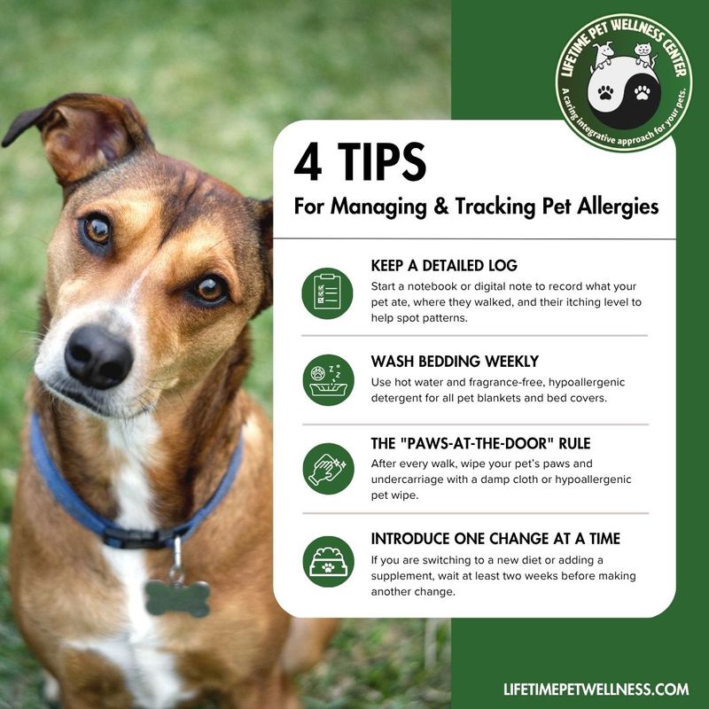 4 Tips For Managing & Tracking Pet Allergies