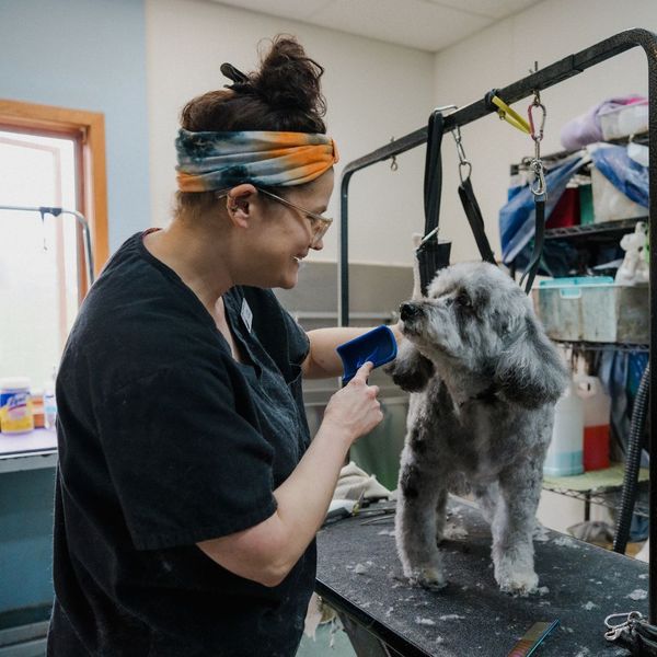 A Lifetime Pet Wellness vet and dog.