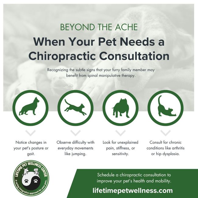 M325911 - Infographic - Beyond the Ache.jpg