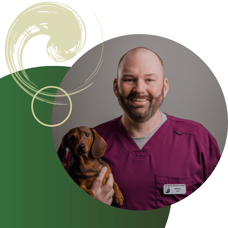 smiling vet holding dog